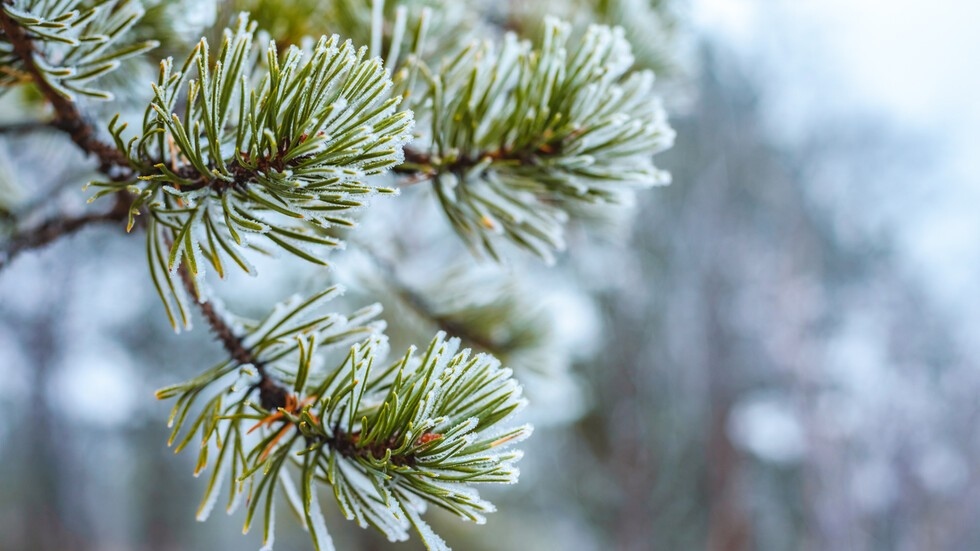 Какво ще бъде времето през месец декември