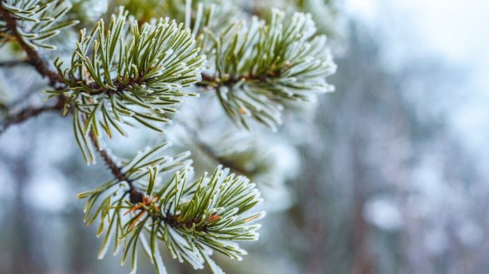 Какво ще бъде времето през месец декември