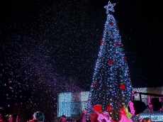 Програма за Коледа и Нова година в Община Мездра