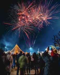 Коледната елха във Враца грейна с хиляди светлини