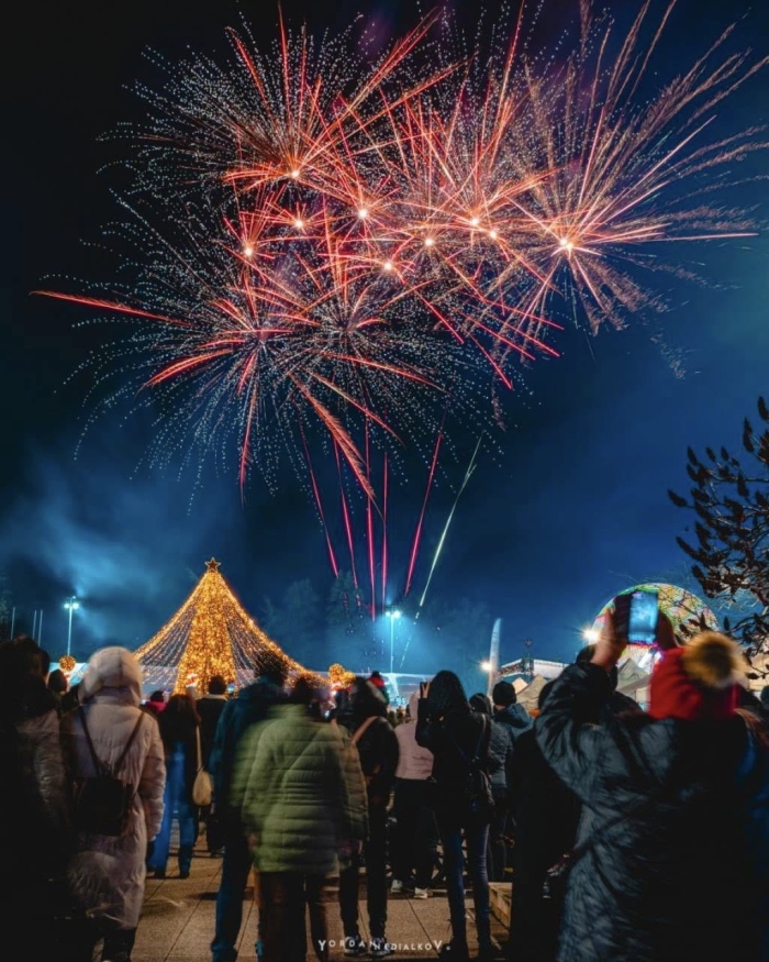 Коледната елха във Враца грейна с хиляди светлини