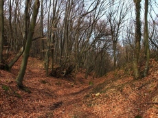 Седмична прогноза за времето /15-21 декември 2025 г./