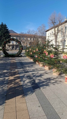 Обявени са даровитите деца в инициативата „ Жива елха за любознателни деца“