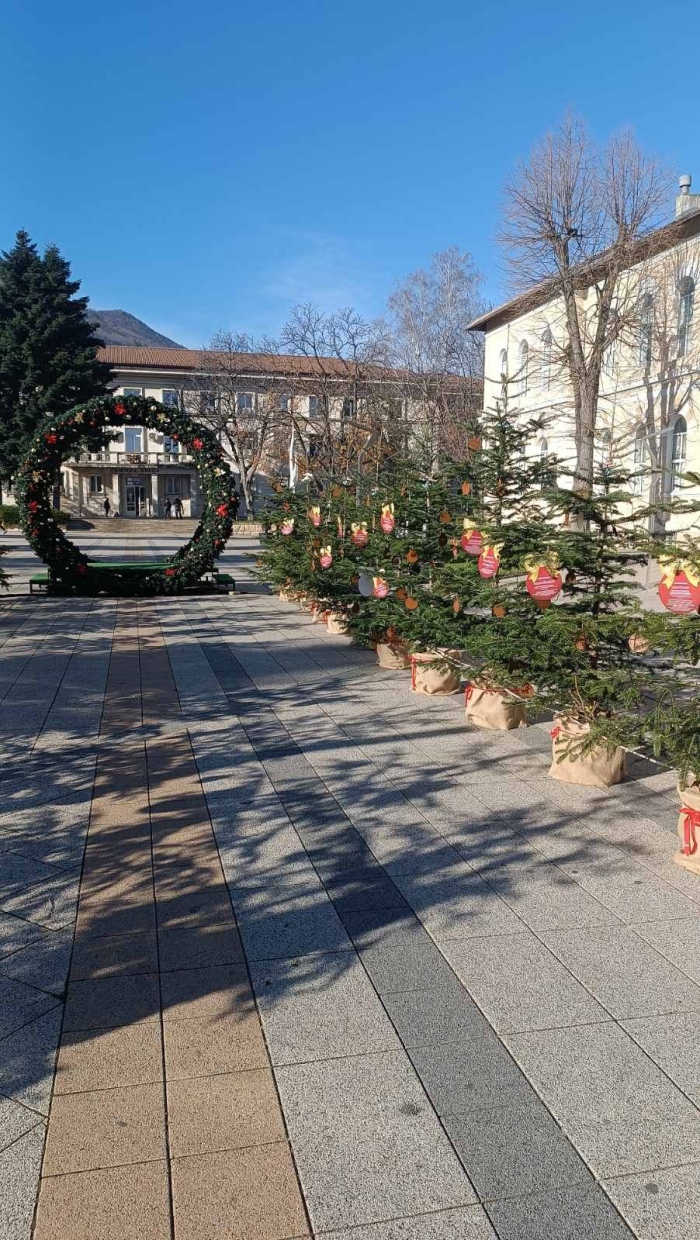 Обявени са даровитите деца в инициативата „ Жива елха за любознателни деца“