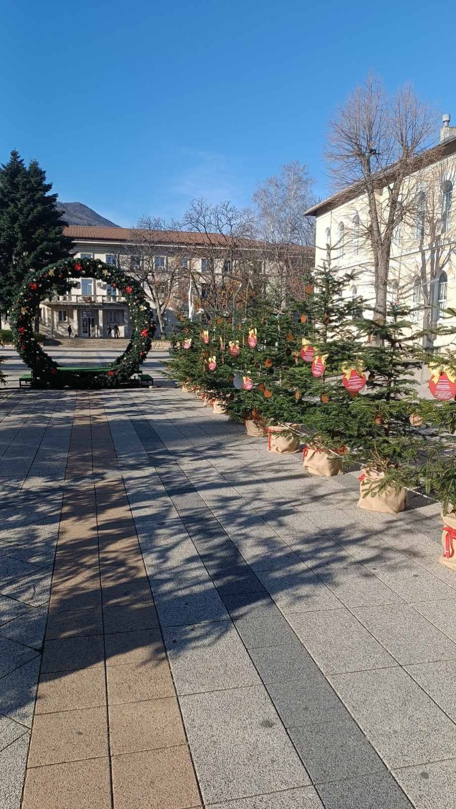 Обявени са даровитите деца в инициативата „ Жива елха за любознателни деца“