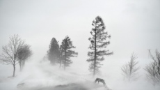 Студен атмосферен фронт носи ветрове до 100км/час