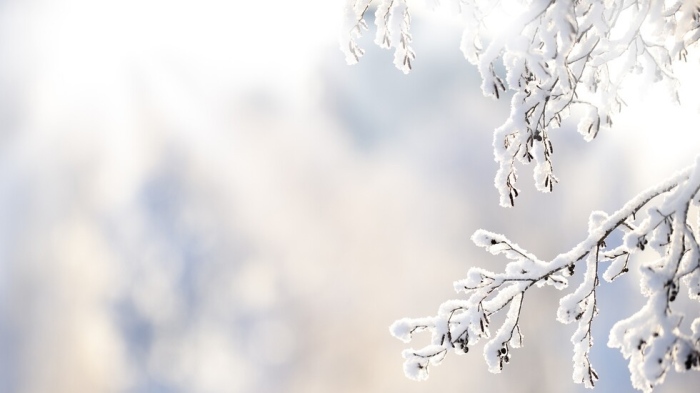 Сняг и силен вятър: Жълт код в 14 области в събота