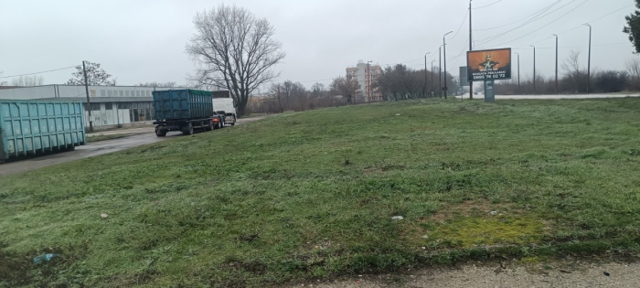 Дари елхата си на природата