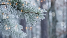 Сняг, вятър и студ: Зимата настъпва