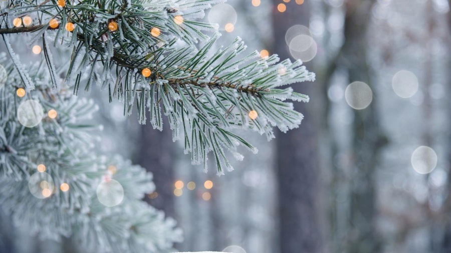 Сняг, вятър и студ: Зимата настъпва