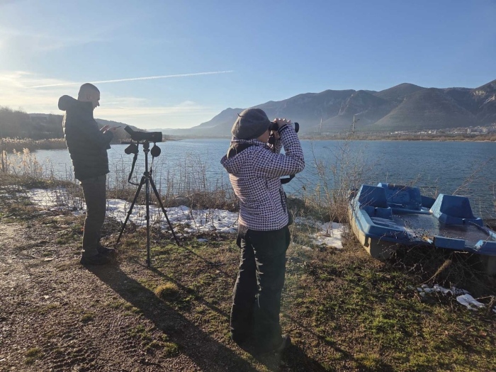 РИОСВ – Враца се включи в преброяване на водолюбивите птици в България