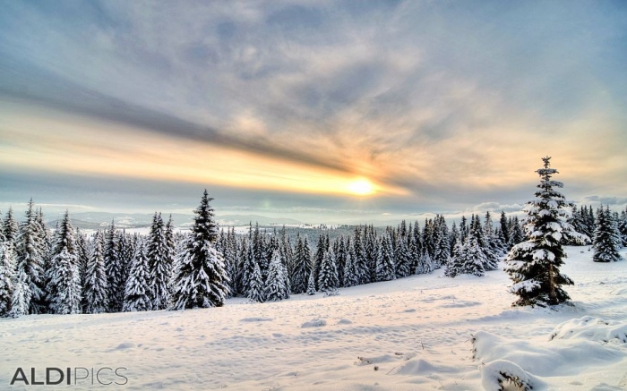 Седмична прогноза за времето на Meteo Balkans /19 януари– 25 януари /