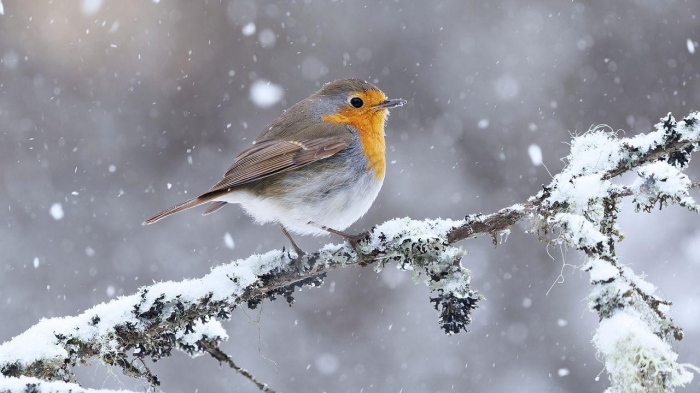 Осезаемо затопляне в края на януари