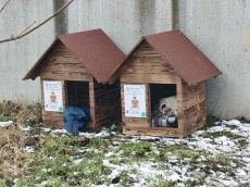 12 къщички за безстопанствени кучета са поставени във Видин 