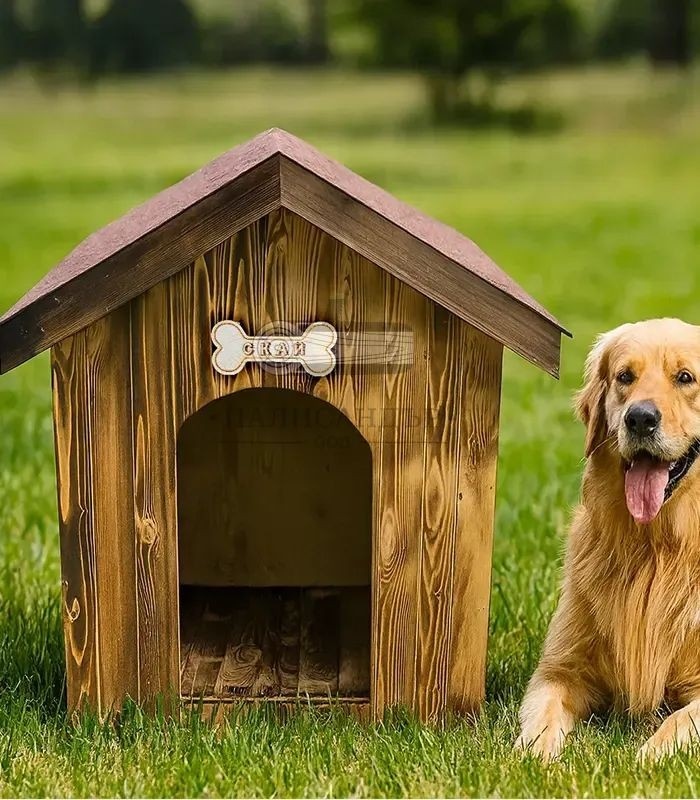 Община Белоградчик купува къщички за кучета