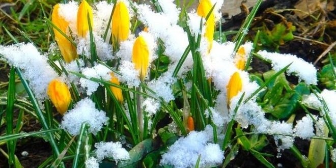 Седмична прогноза за времето /23 февруари–1 март 2026 г./