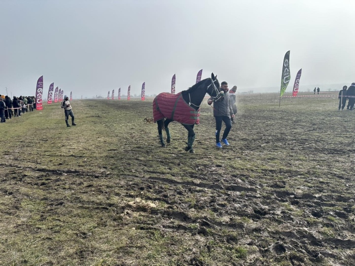 С конни надбягвания отбелязаха Тодоровден във Враца и населените места
