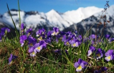 Месечна прогноза за времето - март 2026 година