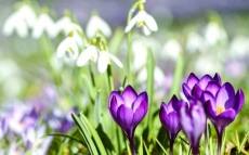 Слънчево време и пролетни температури през новата седмица