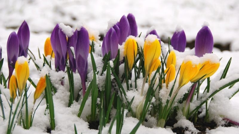 Седмична прогноза за времето /23 март-29 март 2026 г./