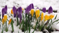 Седмична прогноза за времето /23 март-29 март 2026 година/