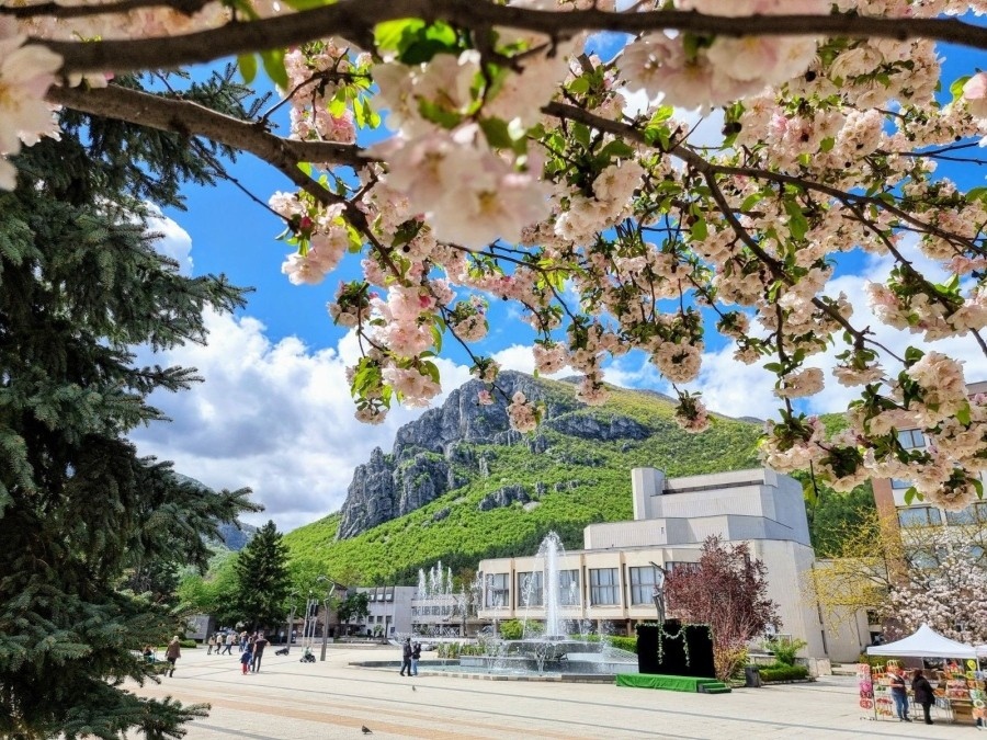 Красива пролетна Враца