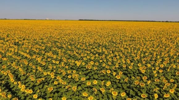 ЕС отпуска 7,4 млн. евро за спешно подпомагане на земеделските стопани в България