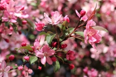 От -5 до +29 градуса: Април идва с време на крайностите