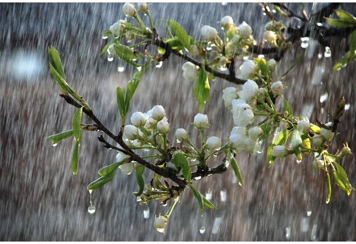 Очакват ни валежи до събота