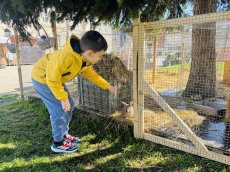 Зайчета радват децата в центъра на Враца