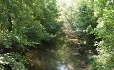 Проверяват състоянието на Дунавските диги в област Видин