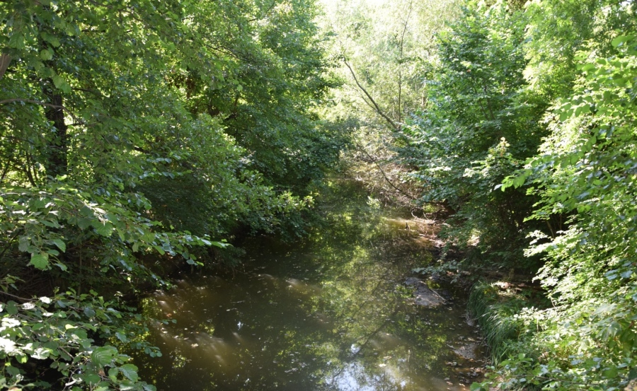 Проверяват състоянието на Дунавските диги в област Видин