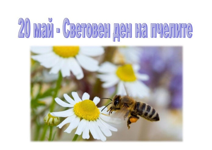 20 май – Световен ден на пчелите