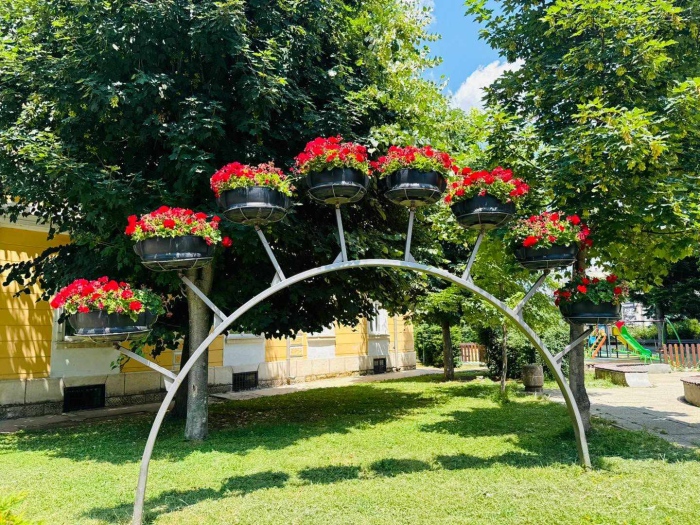 За чиста и зелена Враца