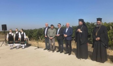 Закриха гроздобера в лозовите масиви край селата Гомотарци и Кошава
