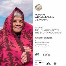   Изложбата „Корени“ представя Северозападна България 